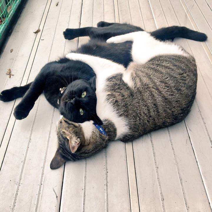 2e66321a ca45 4fbf 931c 0b337b0f5c2a 1510100373452