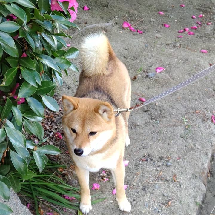 2e6652da d2ae 4163 9b54 fd333c7ecc31 1641974781462