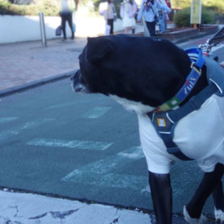 2e66e1f6 4543 4ca6 9bc6 7be9c39e870a 1706491171547