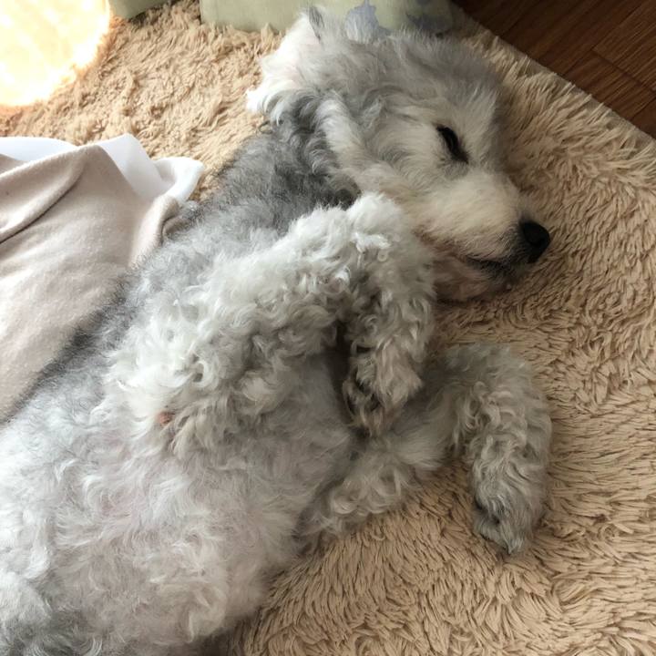 2e66e5e9 adb3 4932 86a3 5de1ec8d195e 1562627516191