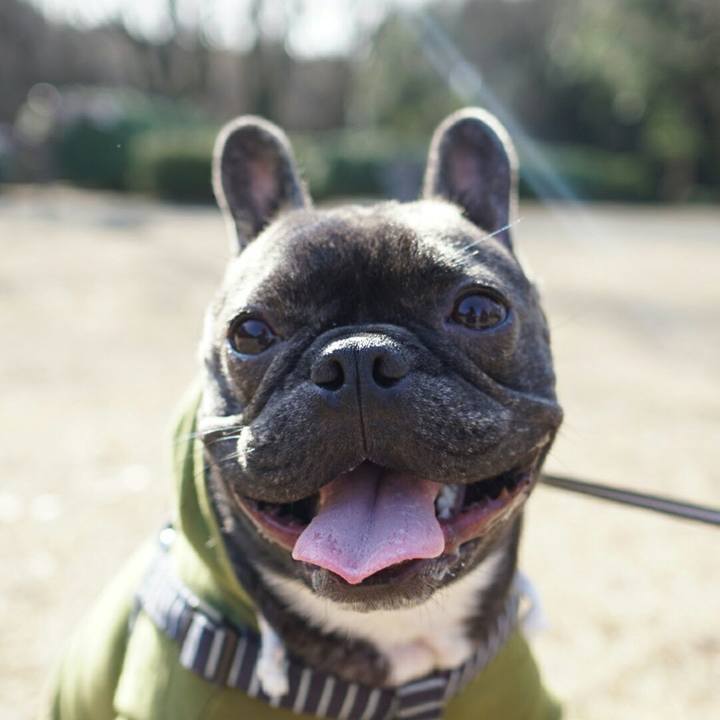 2e6728d1 304c 473a 8105 089c0736ec21 1516507737881