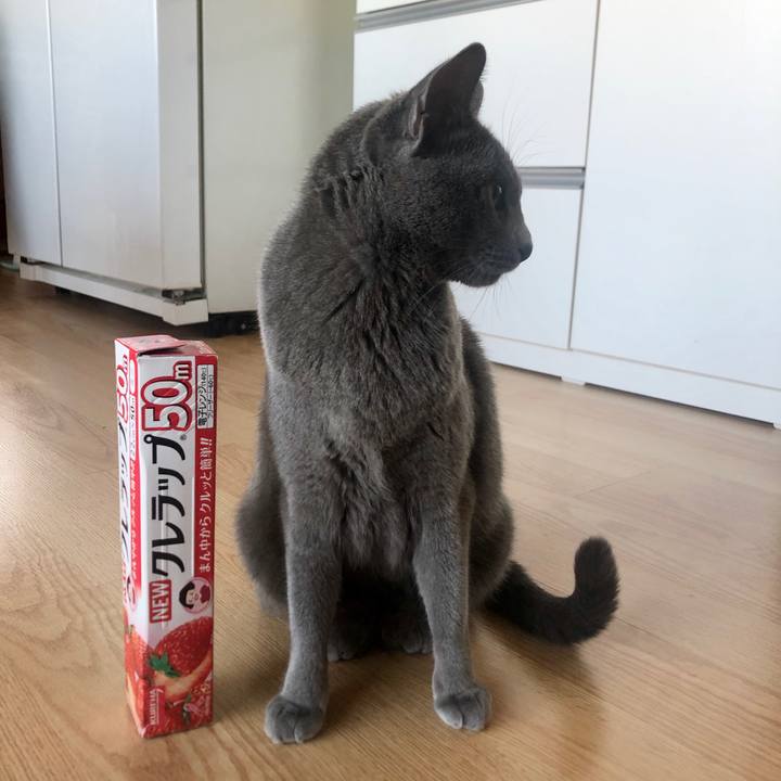 2e672cc5 ddee 4350 ad0c a8c21c3d191f 1585006646949