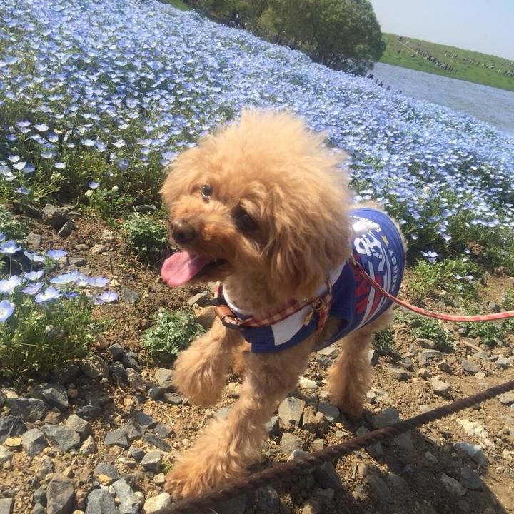 2e673210 4cda 4f8c ad9a 8701606b4989 1524297371040