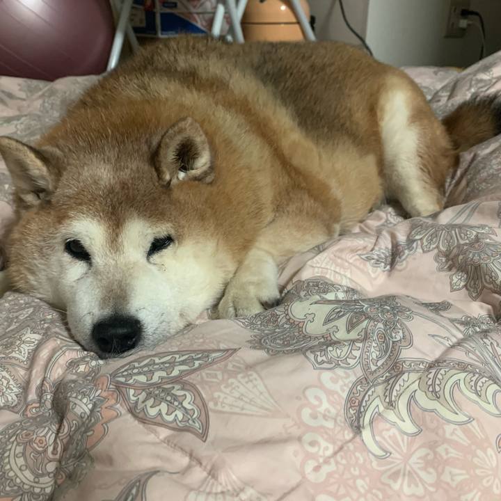 2e67395f 9f95 4d11 ab2c 15c05570116d 1613268513356