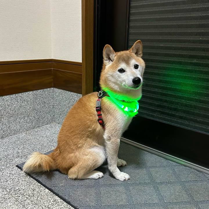 2e67cc20 8e3a 4153 b0ad 7dec1190cc75 1697713167082