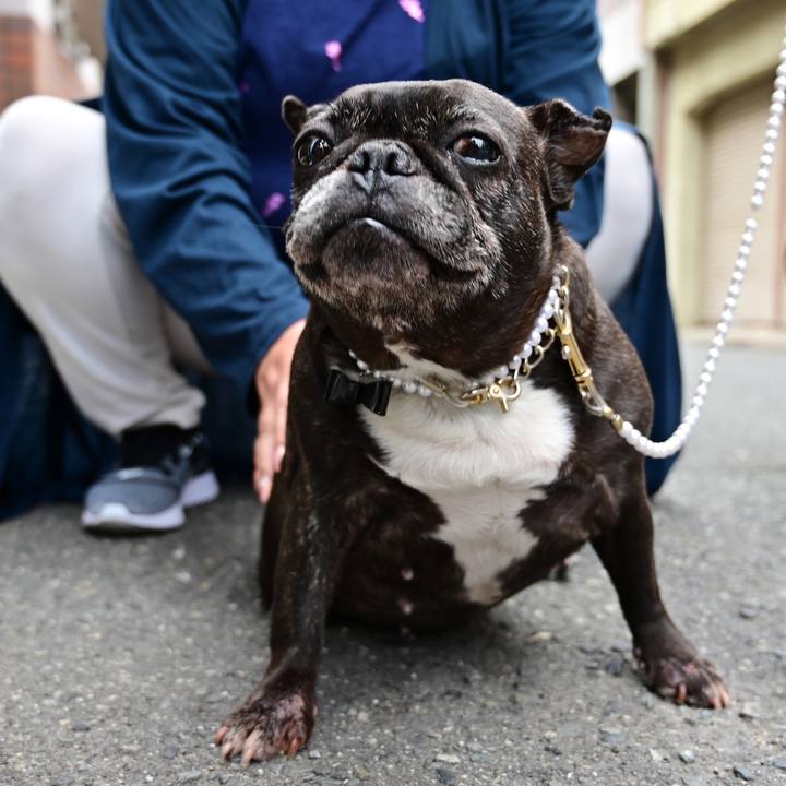 2e681b91 6192 49c8 9eb0 cbe636a12362 1556559743240