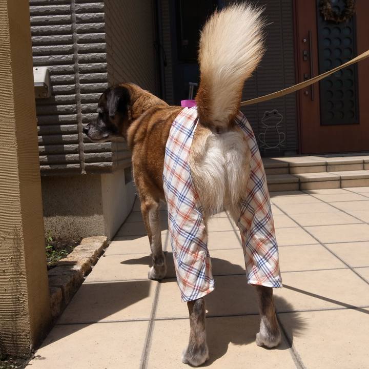 2e681c72 0ffc 44dc a2a4 2245c08ae06b 1582337979373