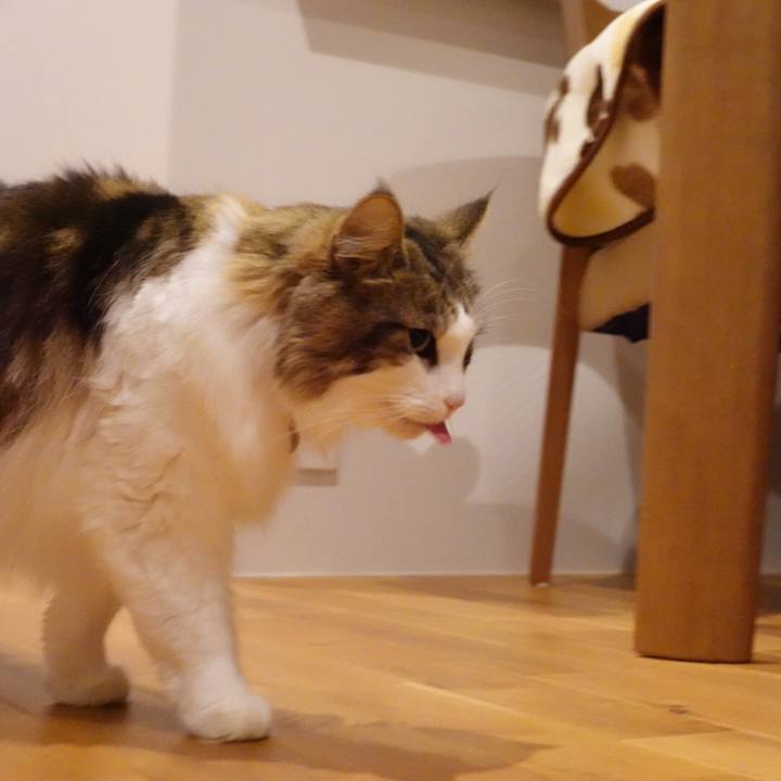 2e6824d6 8535 4538 89e1 7385a42728a8 1606228265909