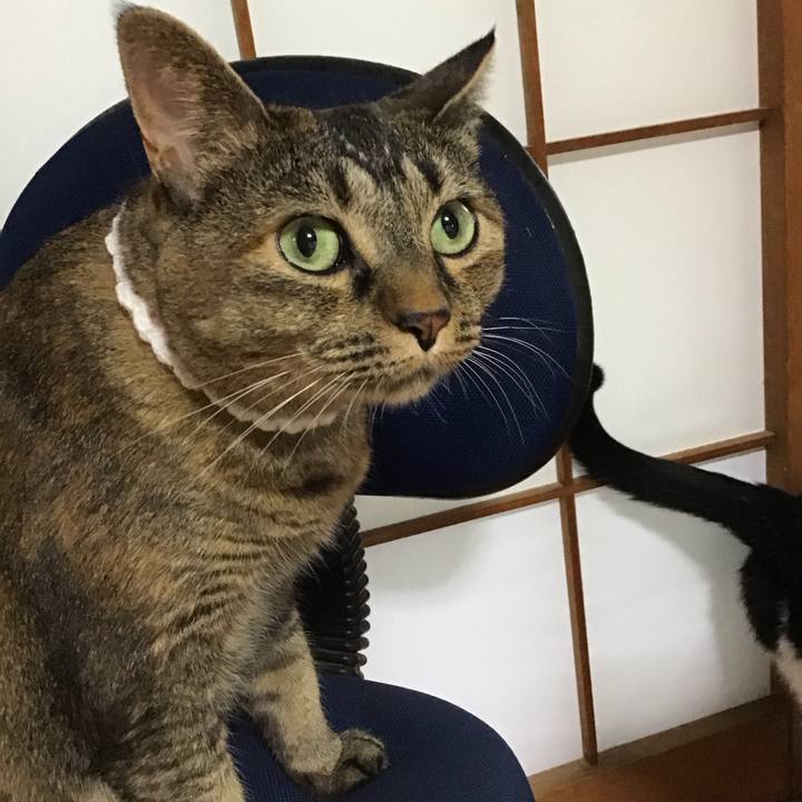 2e6828d0 9755 4a2a a8e7 5227ea5396be 1724230223205