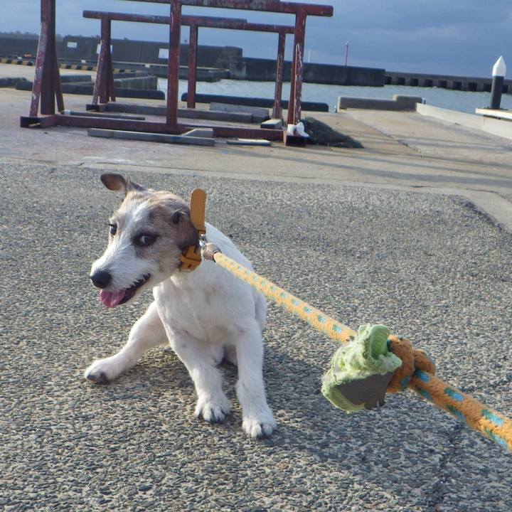 2e68cd61 ab41 4b82 8065 0fb5729a3f26 1553949984384