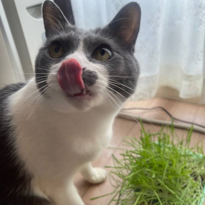 2e6912f1 ce68 4b5d bdb3 428323ada500 1742857466697