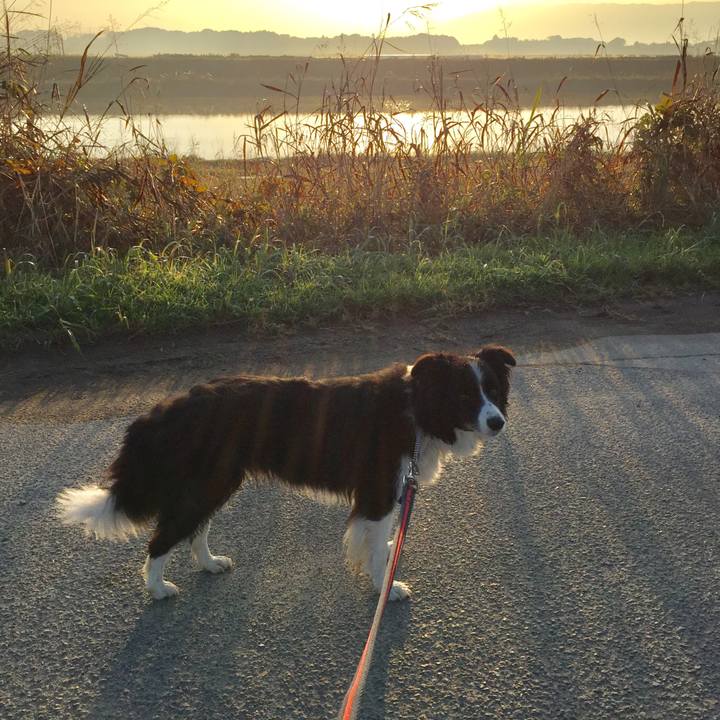 2e693827 eb00 45d3 b485 7f4cf09fdf05 1573518301207