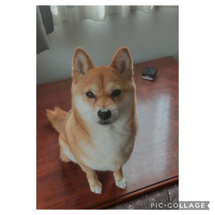 2e694215 6800 4065 82b5 da5f23e4bed9 1682052247133