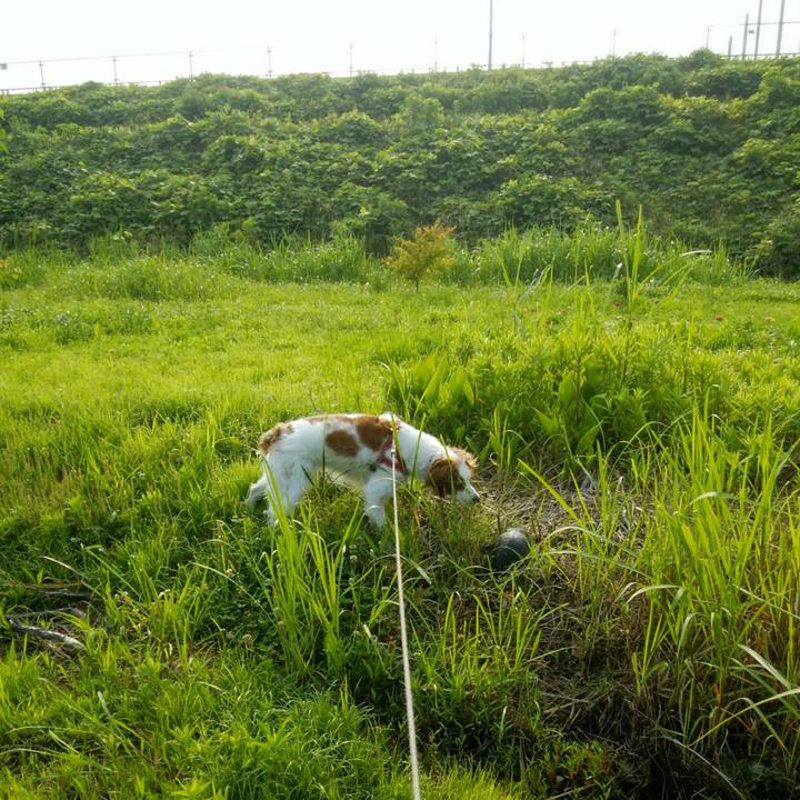 2e695fff 0d0e 4b5b b749 5a7e968df18a 1561073604261