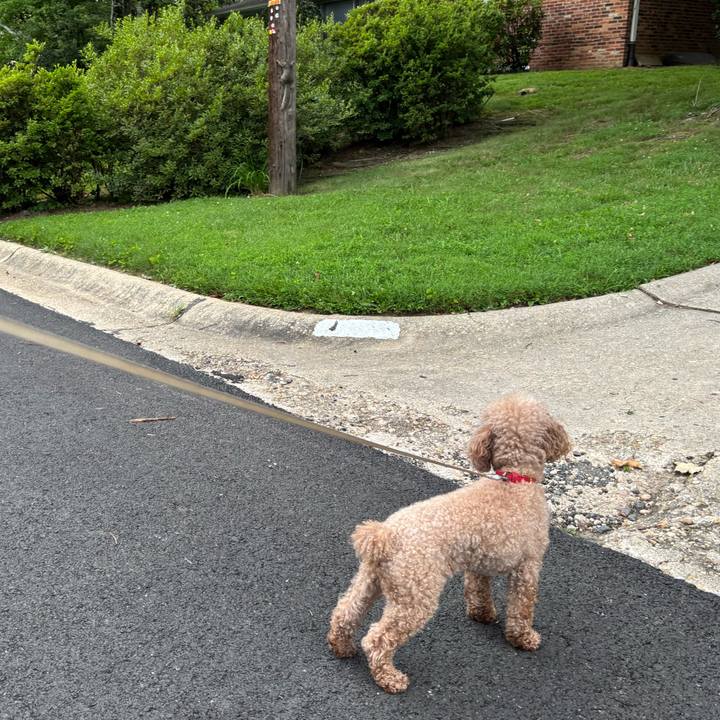 2e696042 4311 45af b075 7a97007d1daa 1751236278508