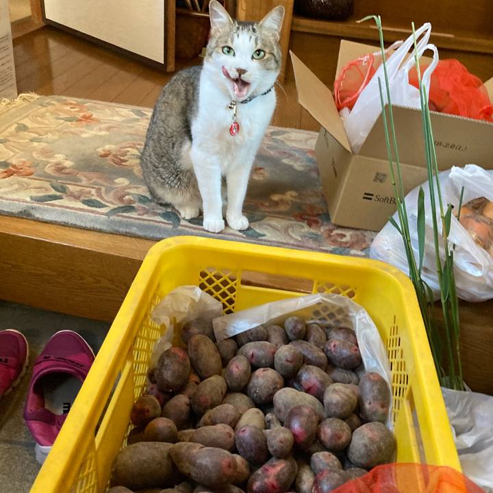 2e69a6a0 de30 4549 b246 5b170159dd0b 1591518778471