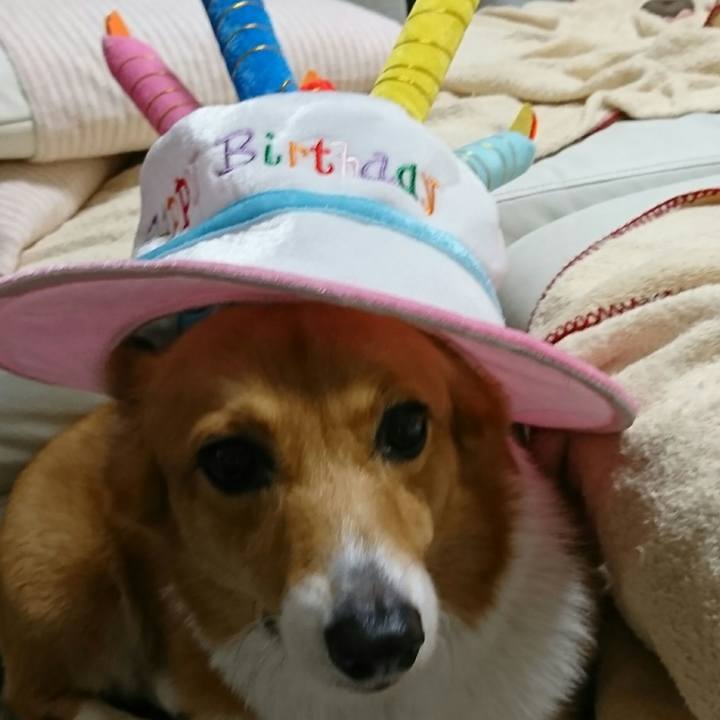 2e69abc0 d362 4f4f a538 9c447d8ea084 1551695482841