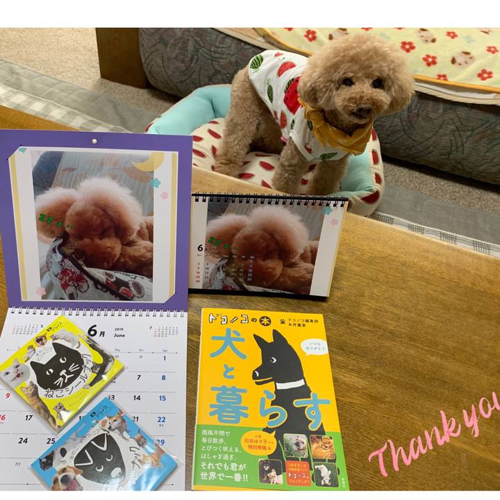 2e69e500 2cbd 4e14 bc74 23814b817018 1559808754086