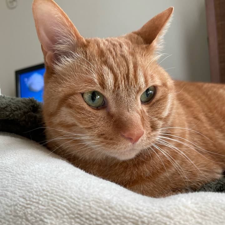 2e6a18f5 cec4 4ed9 91a3 a54426d31c9a 1677459171502