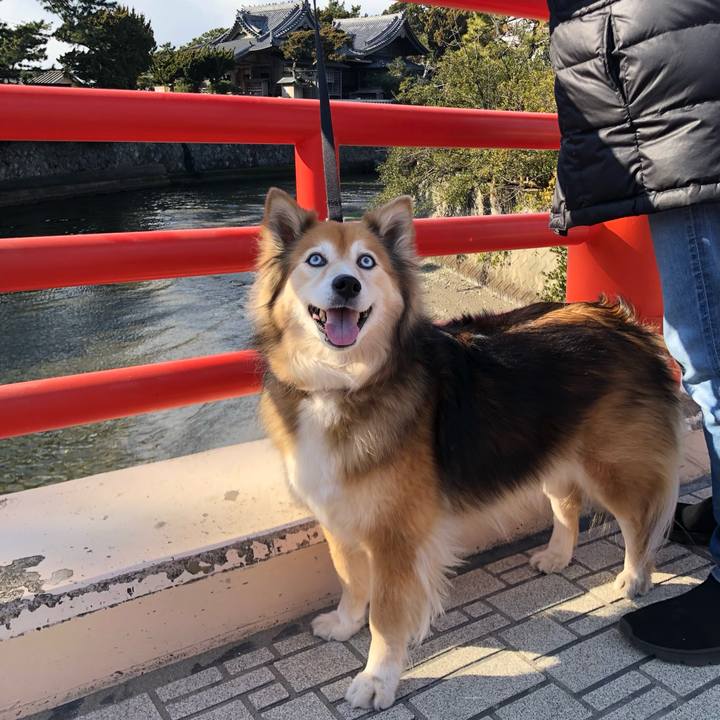 2e6a722d f3b4 4adb b150 2f7fad045a9a 1642671932875