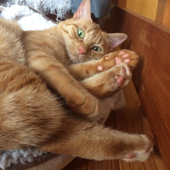 2e6ab03f ff0a 424b b6c1 fa2100b1d89a 1507941371936