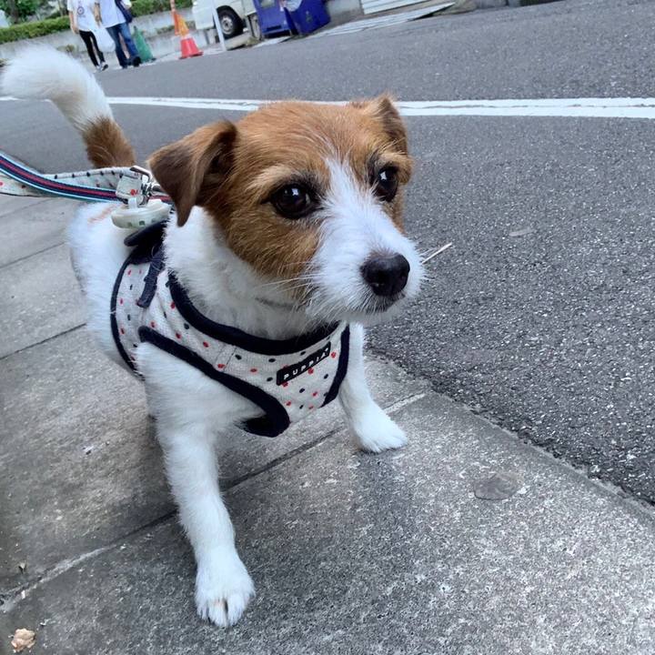 2e6ad5ae e2eb 4975 9b08 0983ffa98bb0 1563721804195