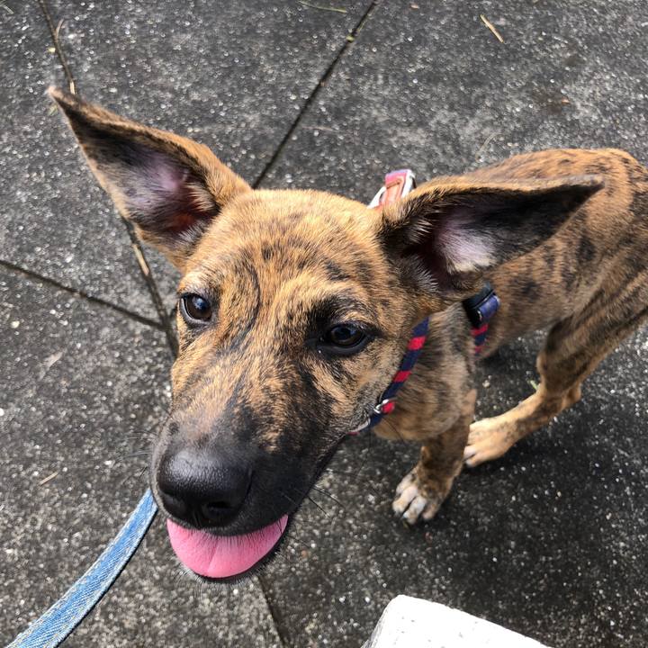 2e6add6d 105f 4f7b 9702 5ababc68890b 1569369900970