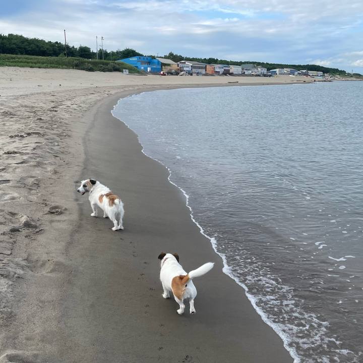 2e6ba37a 36af 4d0f 897a 156bdbf64d5f 1725838243370