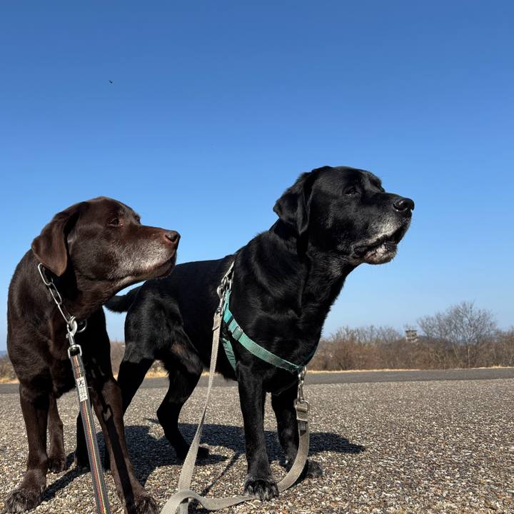 2e6bbfca 2f41 4842 925b b82d5cb257d1 1768652751439