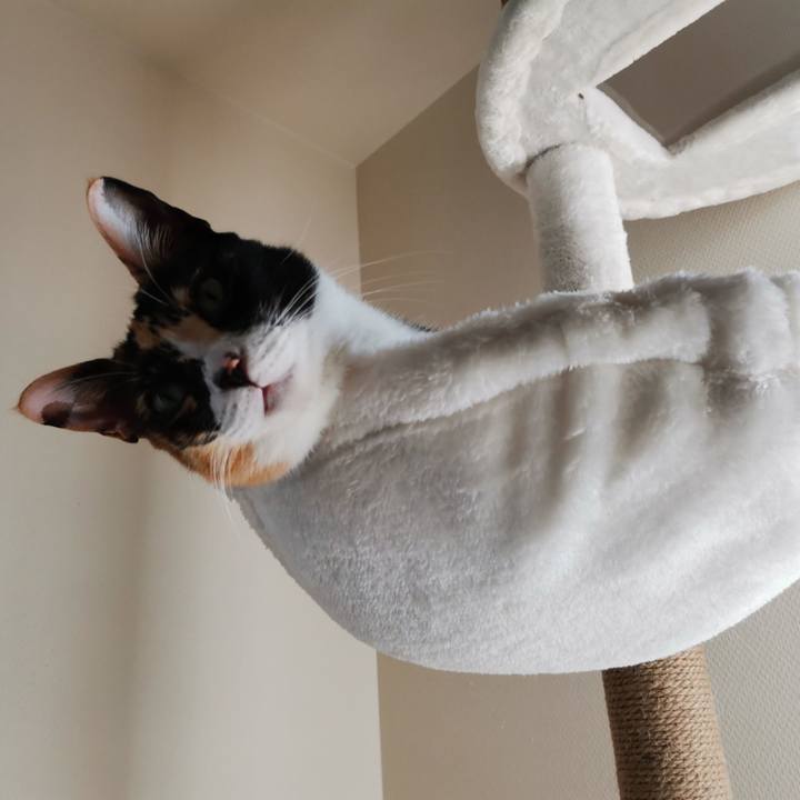 2e6bc8c6 0c9c 4ce6 a4ba 3a02e4d44012 1629025608949