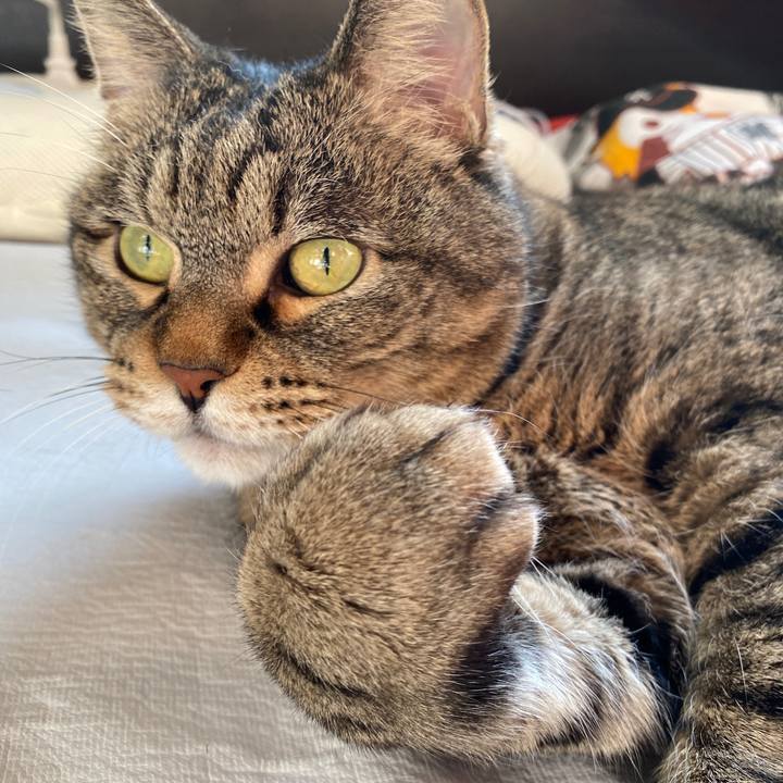 2e6bef36 e714 4a98 b32d b6d660002a9a 1612453099222