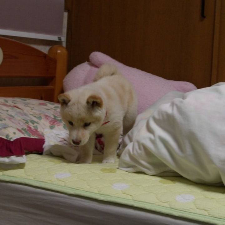 2e6bf3ba 98f7 4bbb 84e7 2837d94c1926 1646579089610