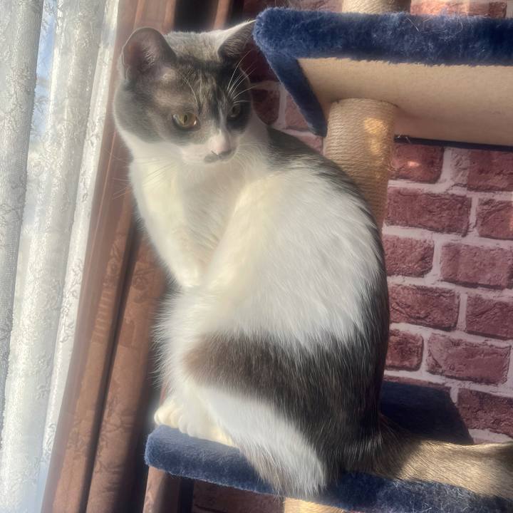 2e6bfa17 8acc 4f85 9c25 b82d9358191c 1637187244301