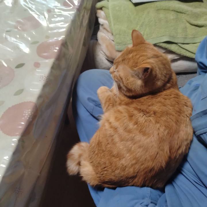 2e6bfbd9 c963 44f2 a7fc ad00d52493e5 1679643118256