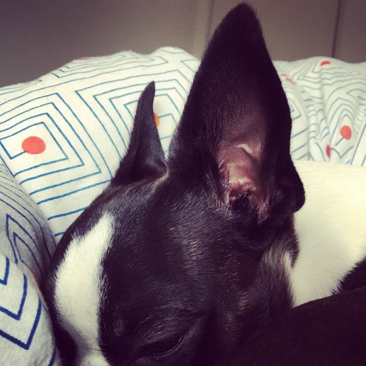 2e6c33f4 59b2 4631 8f22 818f70bb592e 1524639606849