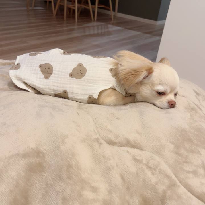 2e6c3dc7 37c7 487d bcf8 5ed6e2723288 1690542179409