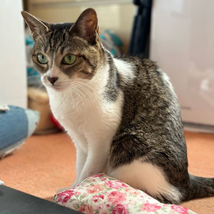 2e6c75b3 c9a4 4d35 b4f7 bcec182b033e 1668045208747