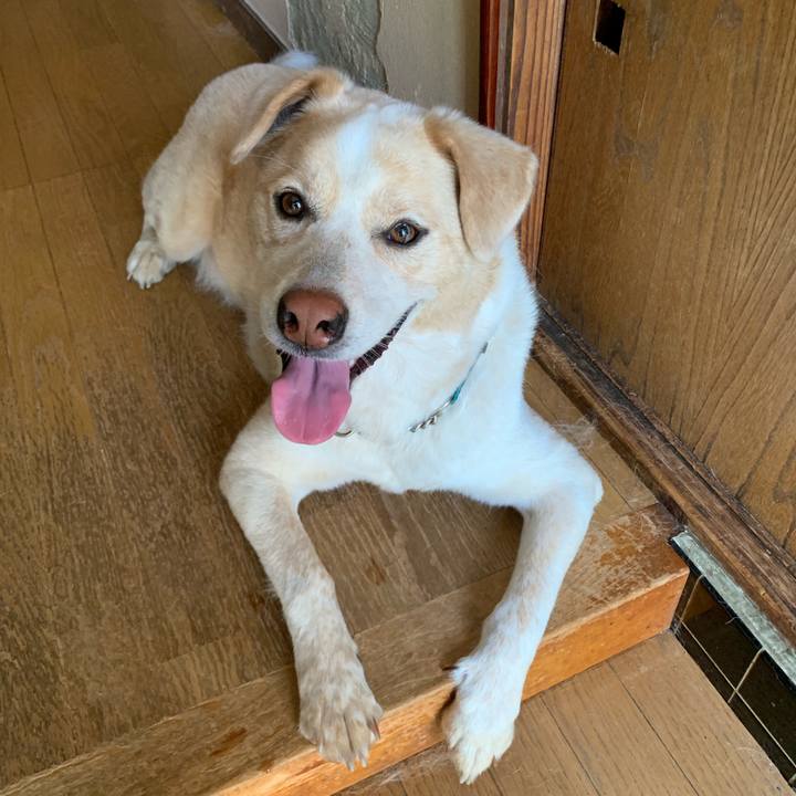 2e6c8776 f384 4396 83e8 1da2785d6a3f 1561683161077