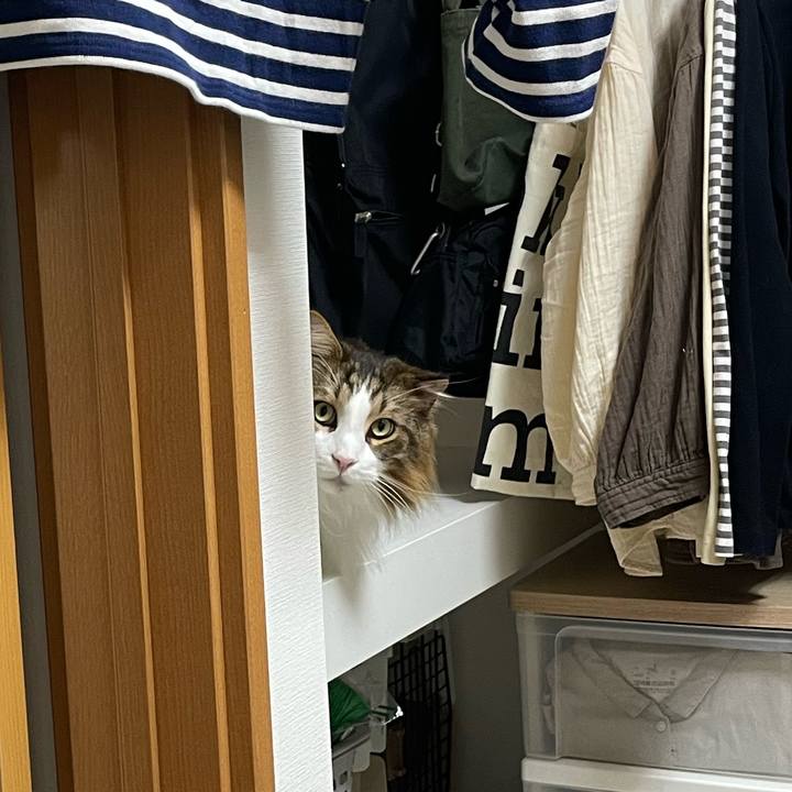 2e6ca2e2 eef9 4096 a39e dfc1d0f5dfc1 1748381230258