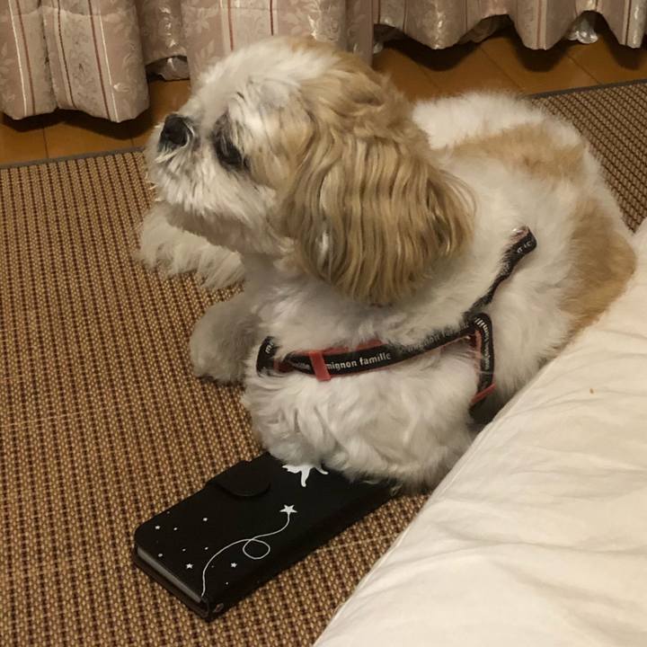 2e6cd254 88a6 41cb 88e5 5b25ac61f5cc 1626989861902