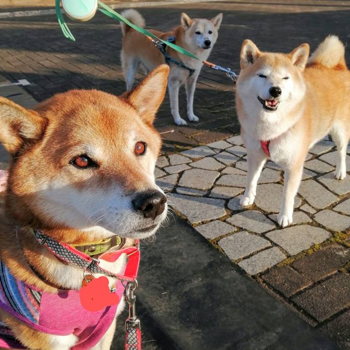 2e6cd72a 39b1 478e b86f 8716eac77b7c 1635154627759