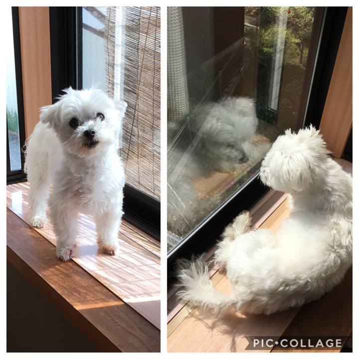 2e6cdbc2 b66b 4e61 835d 5234fb28686d 1555723401794