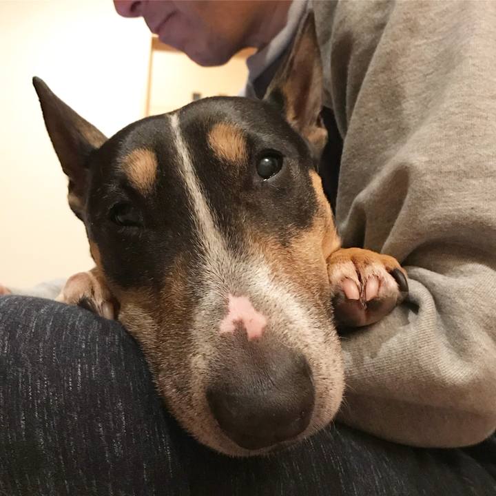 2e6cf53d 22c3 4b87 a289 02b5a6a7abd8 1516195996310