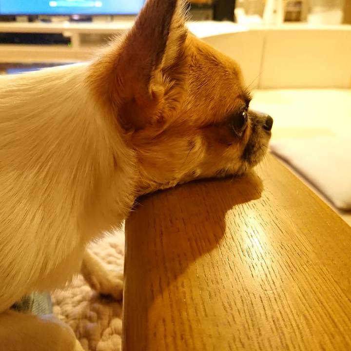 2e6d0914 b59d 423a 86b7 167042a79075 1566606531752