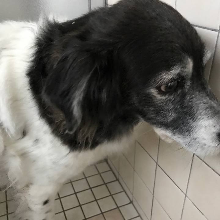 2e6d1d03 bfb4 45c9 b891 01486833e3c6 1551695067878