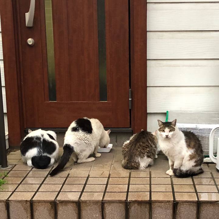 2e6d3505 40ab 4101 99df 4c76c3ffda9d 1563107050414