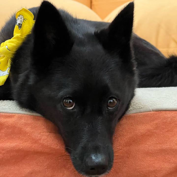 2e6d3bc1 5045 48a1 9f67 a7ff0e7e98a6 1636552969958