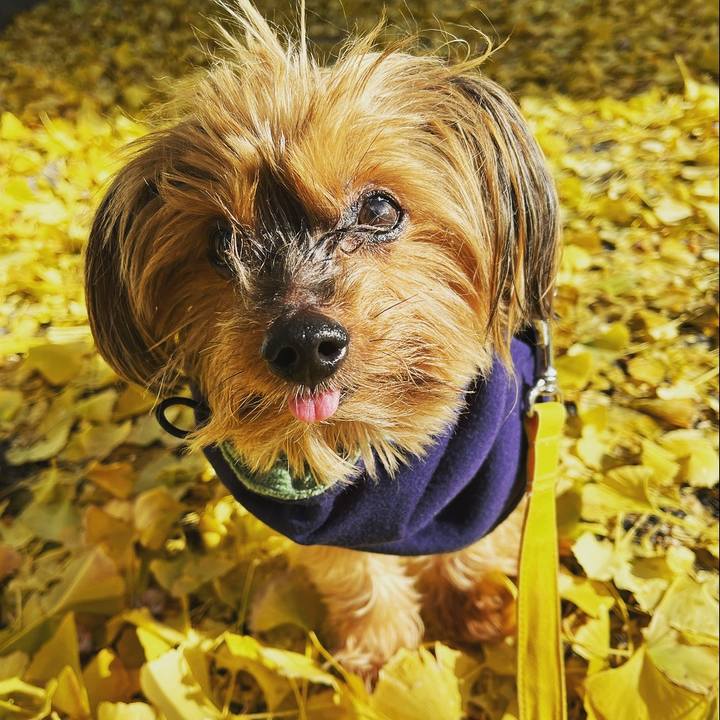 2e6d46ef 8fa9 4f10 b61c 0da6a407b82e 1671336561935