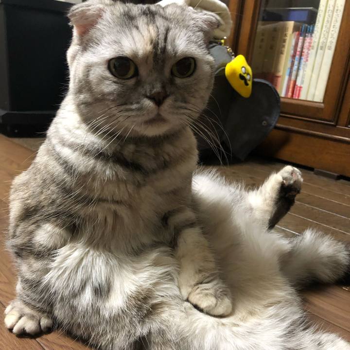 2e6d4dce 8ad3 428b 8f04 eab676301153 1642421656927