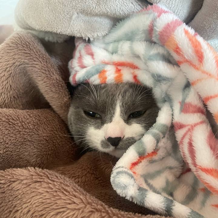 2e6d69bf 4788 4d29 acee f103b4433f7a 1702940459288